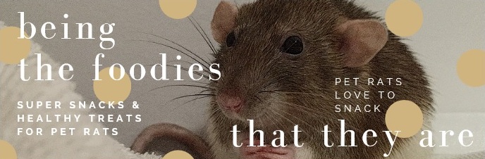 pet rats are foodies