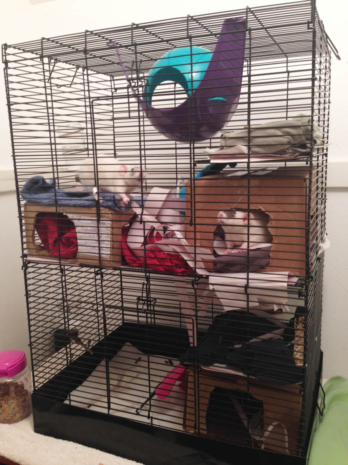Pet Rat Cages: Finding the perfect palace - About Pet Rats