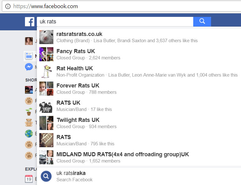 U.K. Pet Rat Facebook Groups