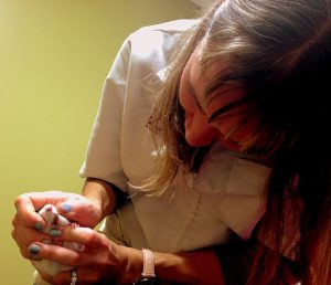veterinarian examining rat's teeth to ensure pet rat health